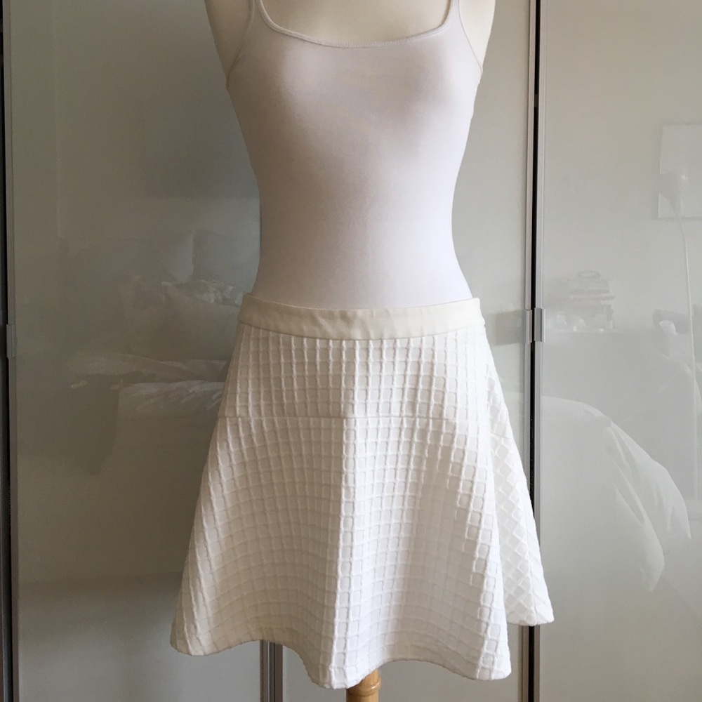 NWT Banana Republic skirt